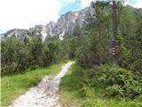 Lago Scin - Rifugio Faloria